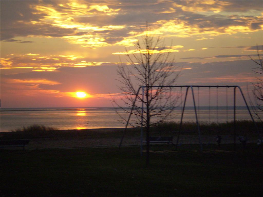 Park Photo Album